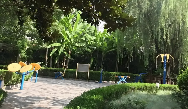 网上申报积分入户深圳_记者:阿代米赛后在更衣室和大家说了很抱歉,他很难过 为下蒙上婚姻也会一段阴影